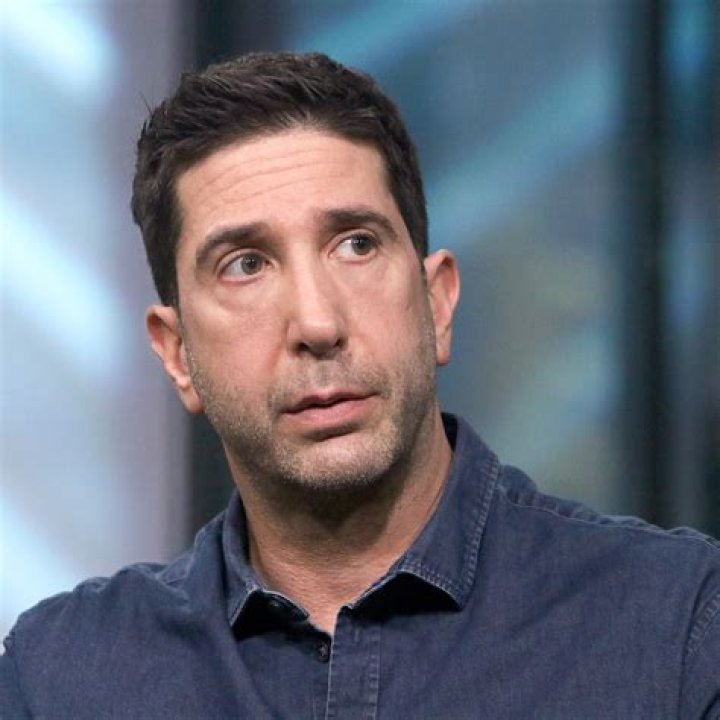 Unveiling the Life and Career of David Schwimmer