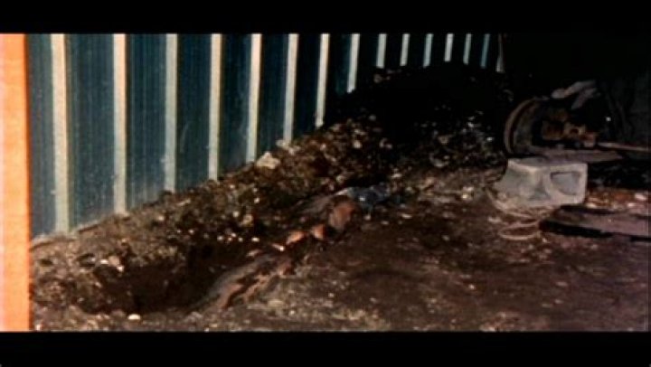 Dean Corll Bodies: Unveiling the Dark Legacy of a Serial Killer