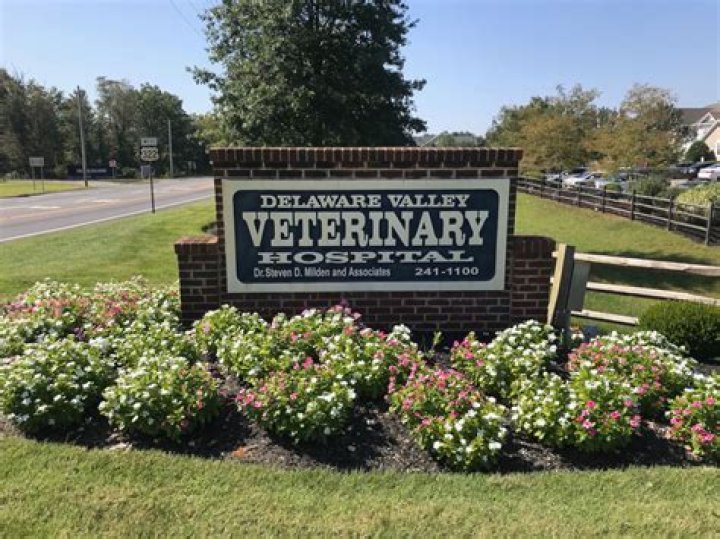 Exceptional Care for Your Furry Friends at Delaware Valley Veterinary Hospital
