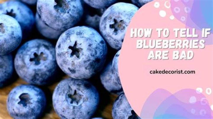 Delicious Secrets: Master the Art of Baking Blueberry Cones Like a Pro