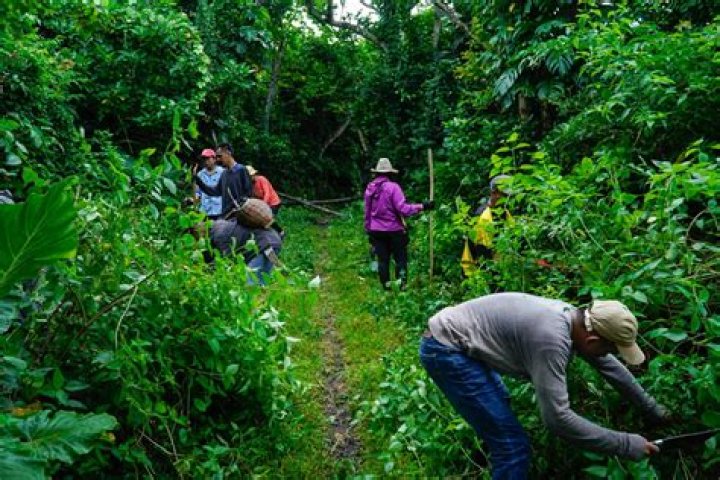 Derek Chauvin: A Comprehensive Examination of His Life, Trials, and Impact