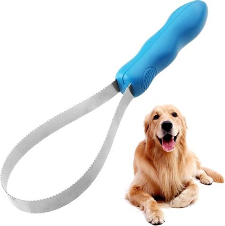 Deshedding Brush for Dogs: The Ultimate Guide to a Healthy Coat