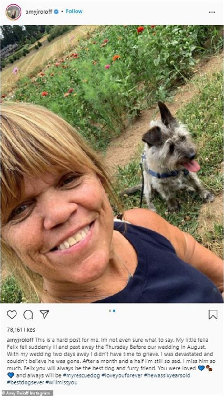 Amy Roloff: Did She Pass Away? Exploring Her Life and Legacy