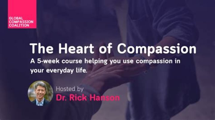 Discover the Heart of Compassion: Humane Society of Pikes Peak