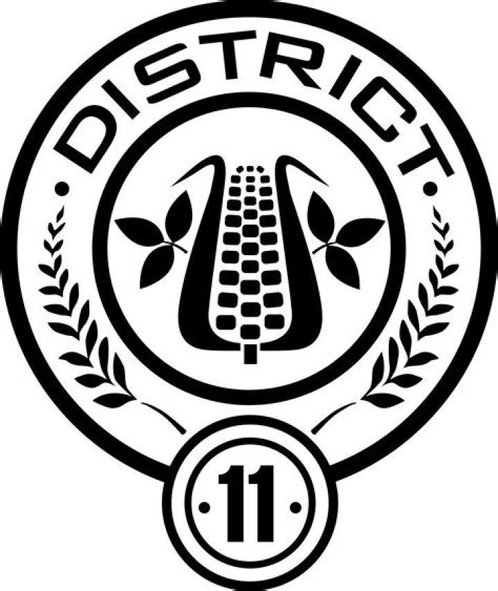 District 11 in The Hunger Games: A Comprehensive Overview