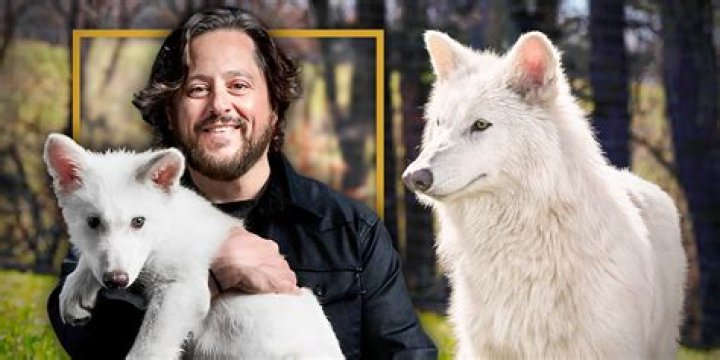 Divk Wolf: The Rising Star in the Music Industry