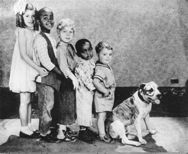 Dogs Name From Little Rascals: A Comprehensive Guide to Understanding the Iconic Pet