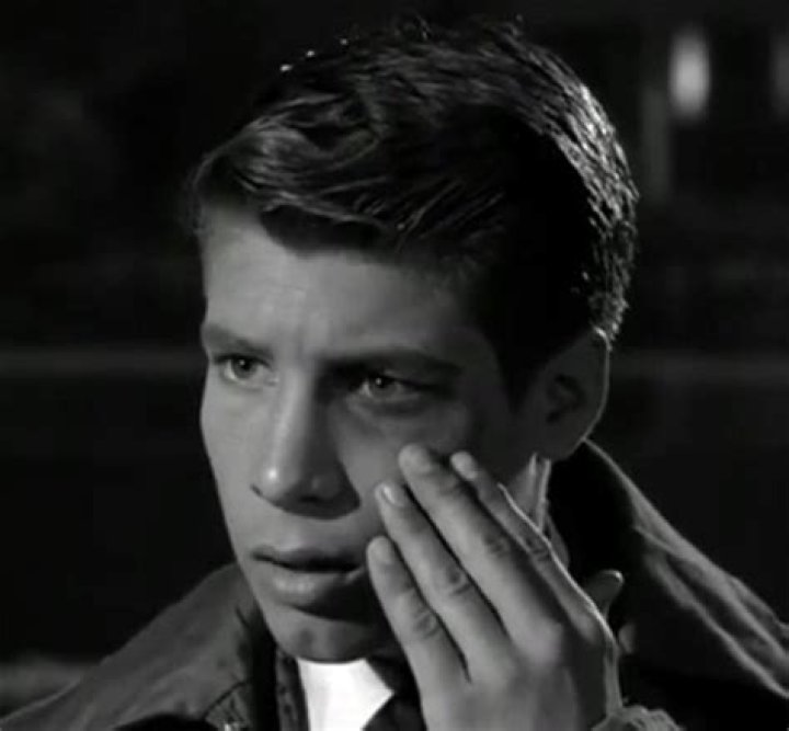 Don Grady Cause of Death: A Comprehensive Overview