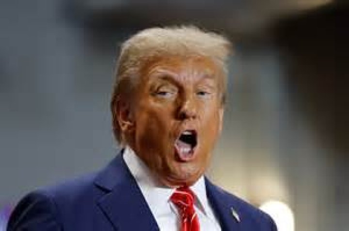 Exploring the Complex Landscape of Donald Trump's IQ