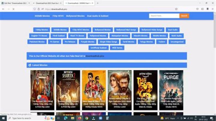 Exploring Downloadhub 2022: Your Gateway to Online Entertainment