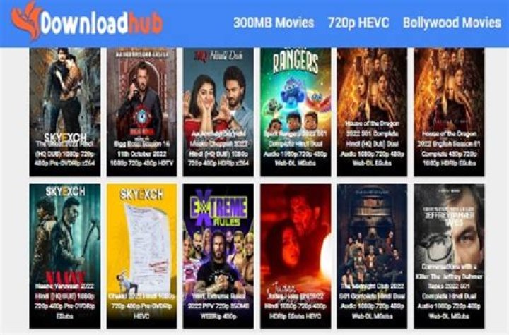 Unlocking the Future of Movies: Exploring Downloadhub4u 2024