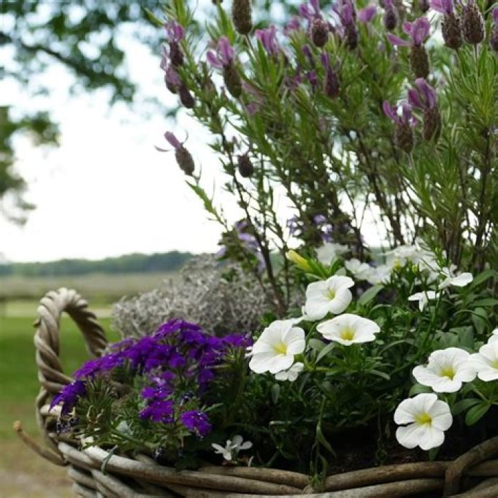 Drew Planten: The Journey of Stephanie Bennett