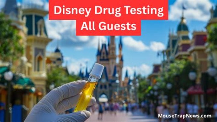 Drug Testing at Disney World: What You Need to Know