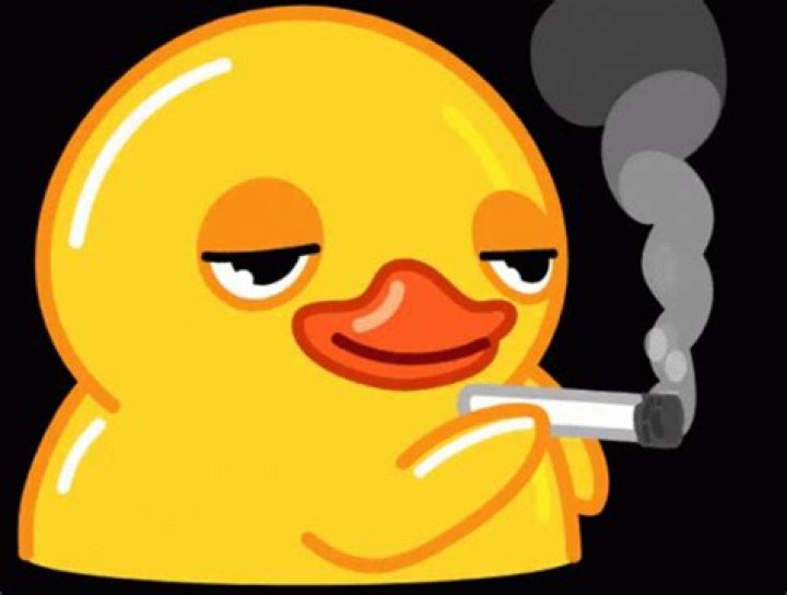 Duck Smoking GIF: A Fun and Creative Way to Share Your Love for Ducks