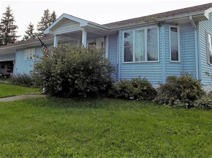 Exploring the Mystique of Edward Sharpe and the Jade Drugs