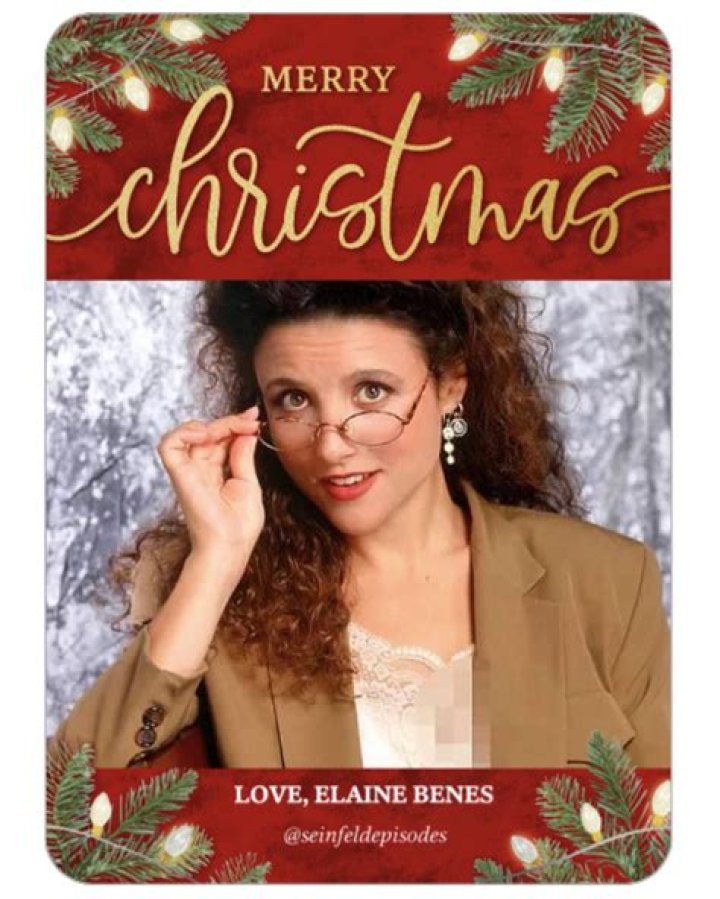 Elaine Benes Christmas Card: A Festive Tradition in Seinfeld's Legacy