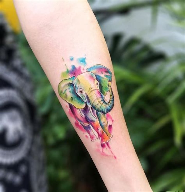 Exploring the Vibrant World of Elephant Tattoo Colorful Designs