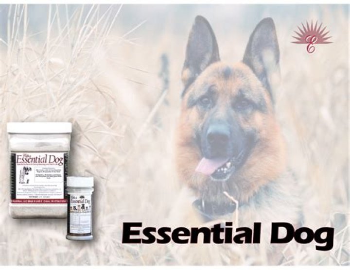 Elite Nutrition Essential Dog: A Comprehensive Guide to Your Dog's Health