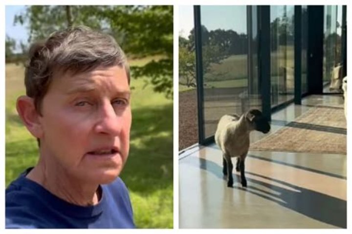 Ellen and Portia: A Love Story Continues - Latest News and Updates