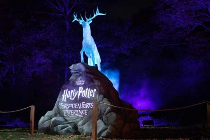 Discover the Magic: Enchanted Harry Potter World