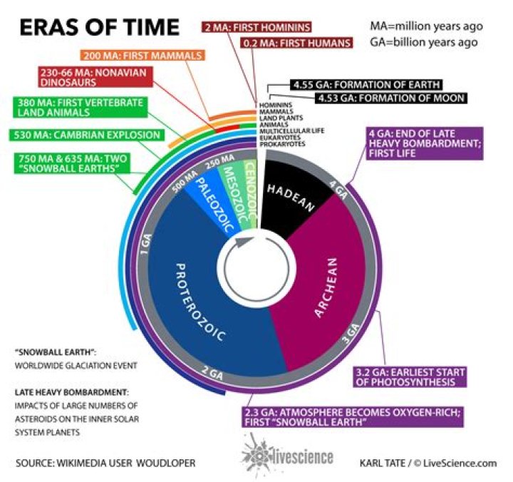Exploring the Eras Throughout History: A Comprehensive Journey Through Time
