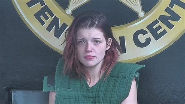 Unveiling the Journey of Erica Lawson: A Multifaceted Talent