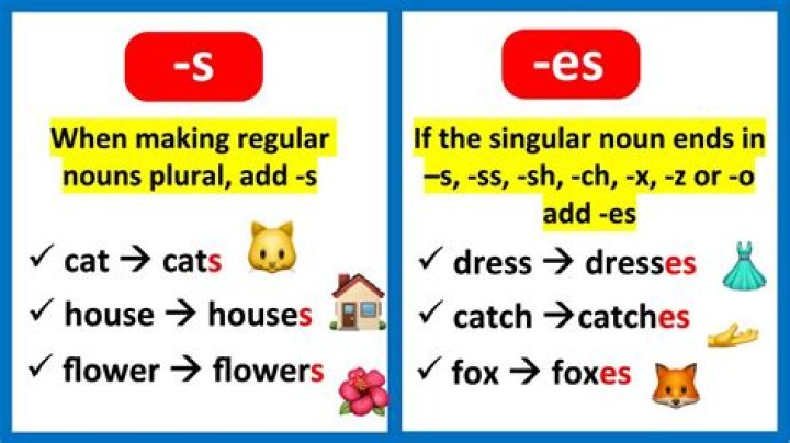 Mastering ES English: A Comprehensive Guide to English for Speakers of Other Languages