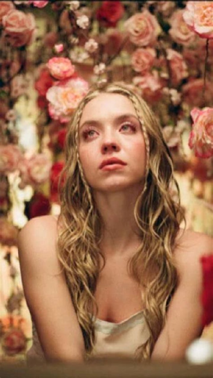 Euphoria Cassie Howard: The Rising Star of Hollywood