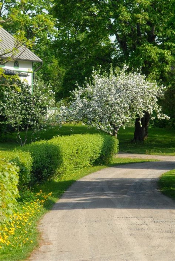 Facebookaverin: A Comprehensive Guide to Understanding Its Impact and Potential