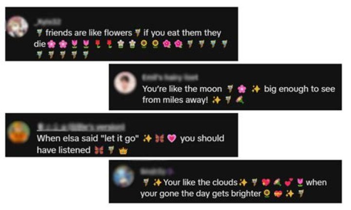 Fairy Comments: Unveiling the Magic Behind Enchanting Interactions