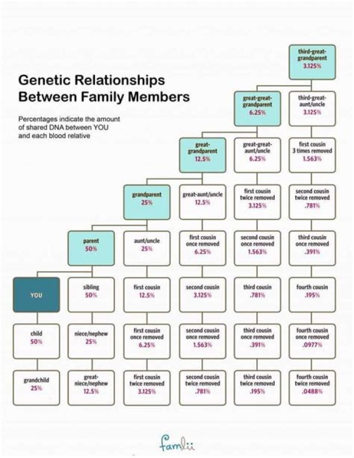 Familial Relationships Chart: A Comprehensive Guide to Understanding Family Connections