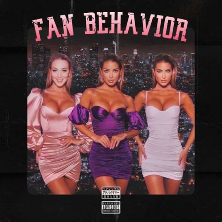 Understanding Fan Behavior: The Meaning Behind Lyrics