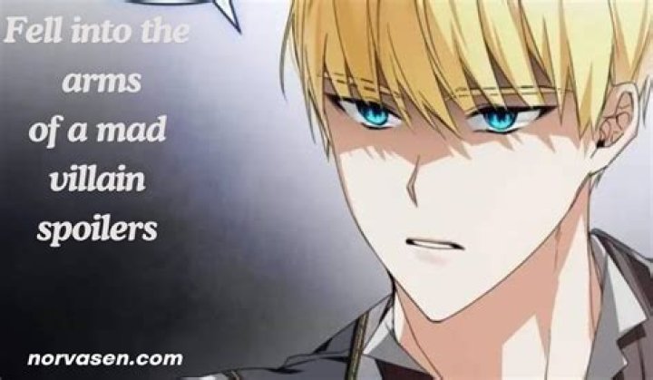 Fell into the Arms of a Mad Villain: An Unforgettable Journey