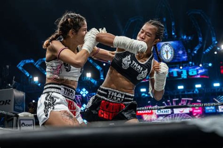 The Art of Fight: Understanding the Dynamics of Conflict and Resolution