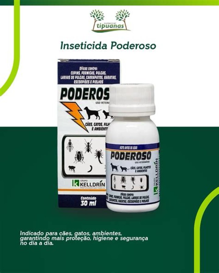 Filmite: A Comprehensive Guide to the Rising Star in the Film Industry