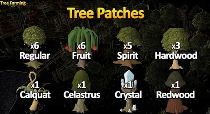 Fruit Tree Patch OSRS: The Ultimate Guide for Beginners and Seasoned Players