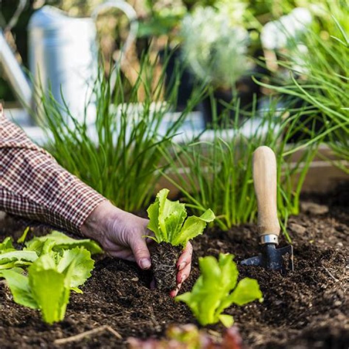 Gardening Classes Home Depot: Your Ultimate Guide to Cultivating Green Thumbs