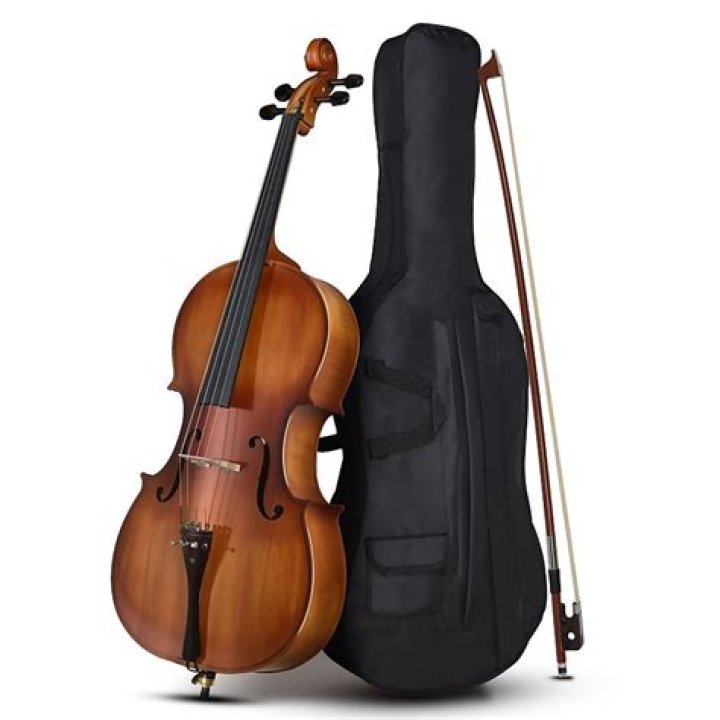 Exploring the Glarry GC201 Cello: A Comprehensive Guide for Beginners and Enthusiasts
