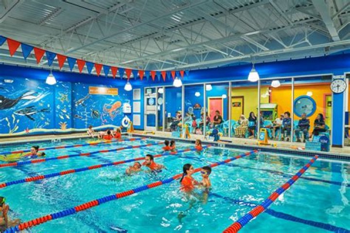 Discover the Joy of Learning at Goldfish Swim School