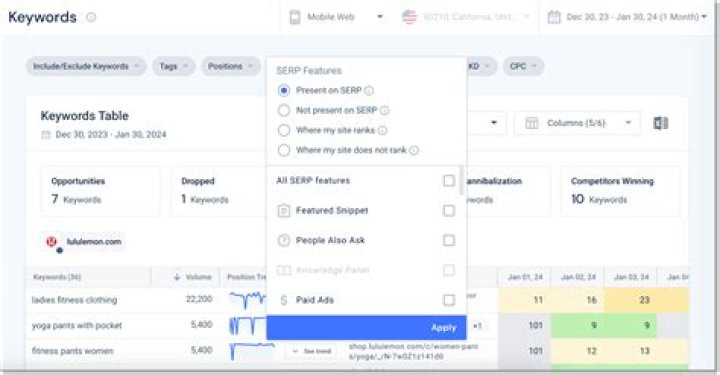 Unlock Your SEO Potential with Google Keywords Tracker