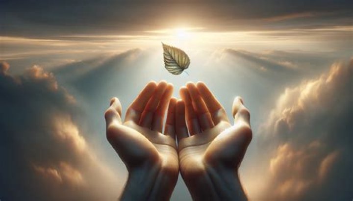 Understanding Grace: An Exploration of Its Multifaceted Dimensions