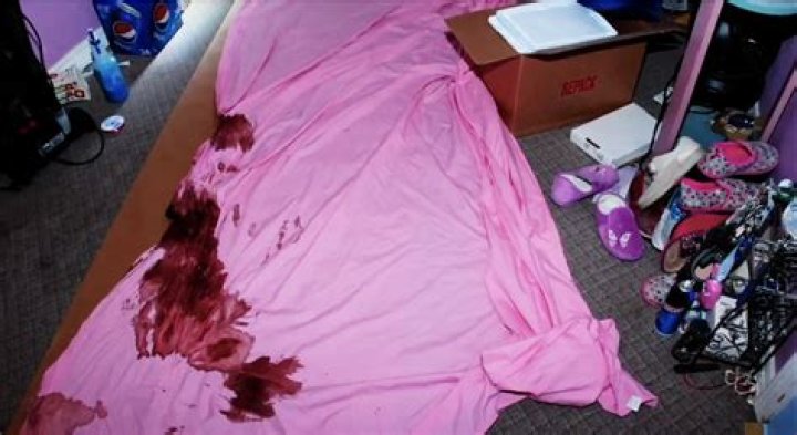 Graphic Gypsy Rose Crime Scene Photos: A Deep Dive Into the Case