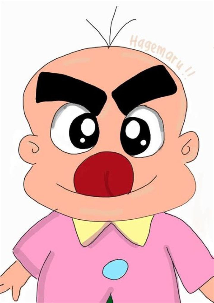 Hagemaru: The Unsung Hero of Maritime Navigation