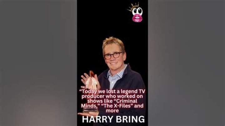 Discovering the World of Harri Bring