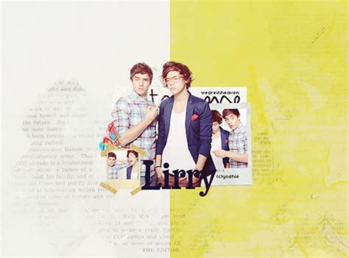 Exploring the Fascination Behind Harry and Liam's Ship Name