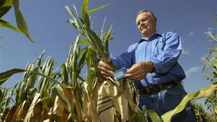 Harry Stine Net Worth: A Deep Dive into the Billionaire's Fortune