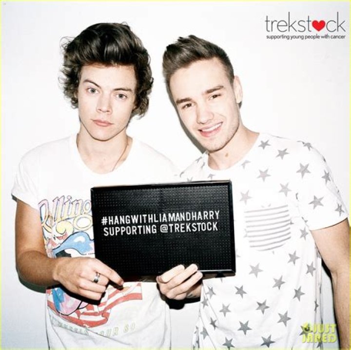 Exploring the Dynamics of Harry Styles and Liam Payne: The Ship Name Phenomenon