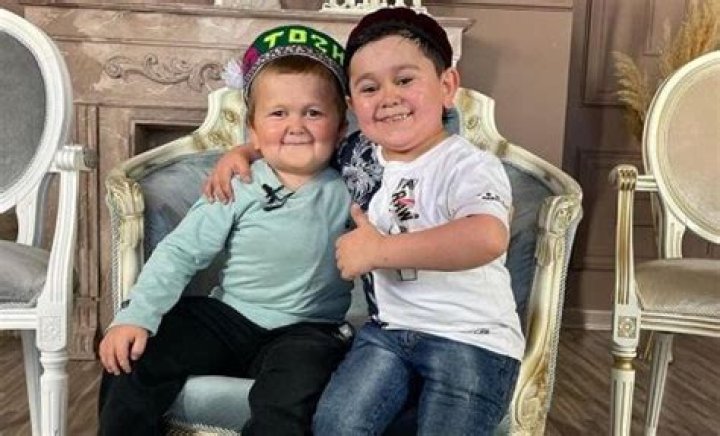 Exploring the Unique Dynamics of the Hasbulla Family