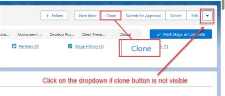 How Do You Clone a Site in Straw.page?
