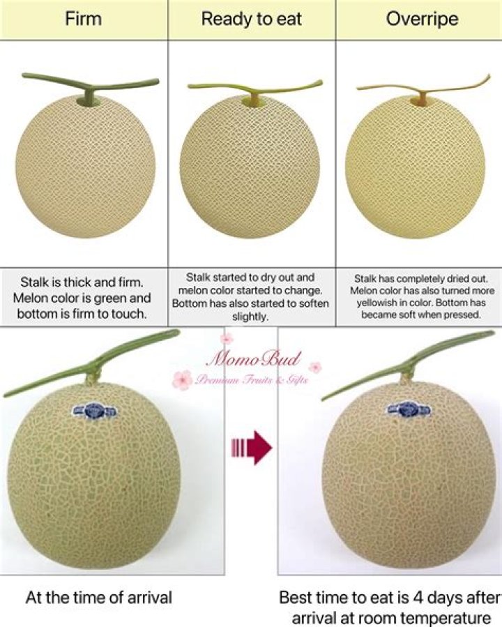 How Do You Know That a Korean Melon Is Ripe?